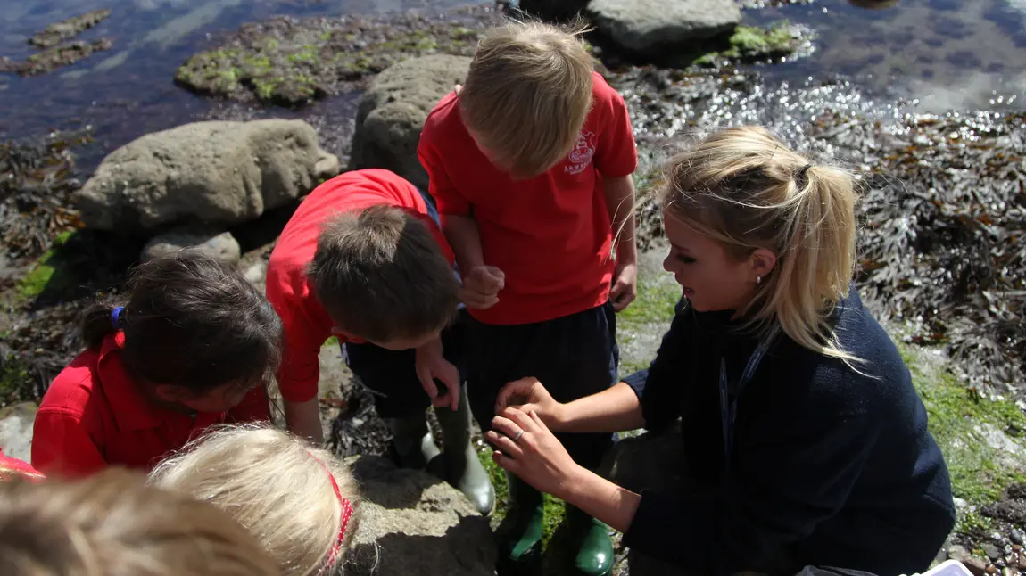 Future fossil hunters? Leweston schoolchildren rockpooling at Lyme