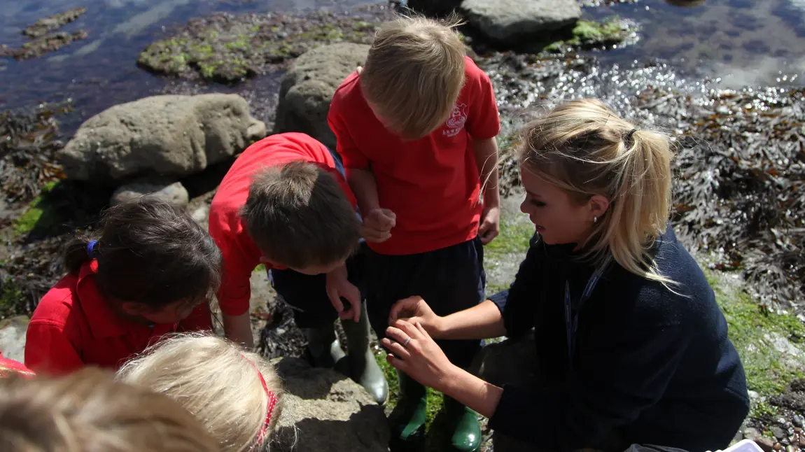 Rockpooling on the beach where Mary Anning made her discoveries