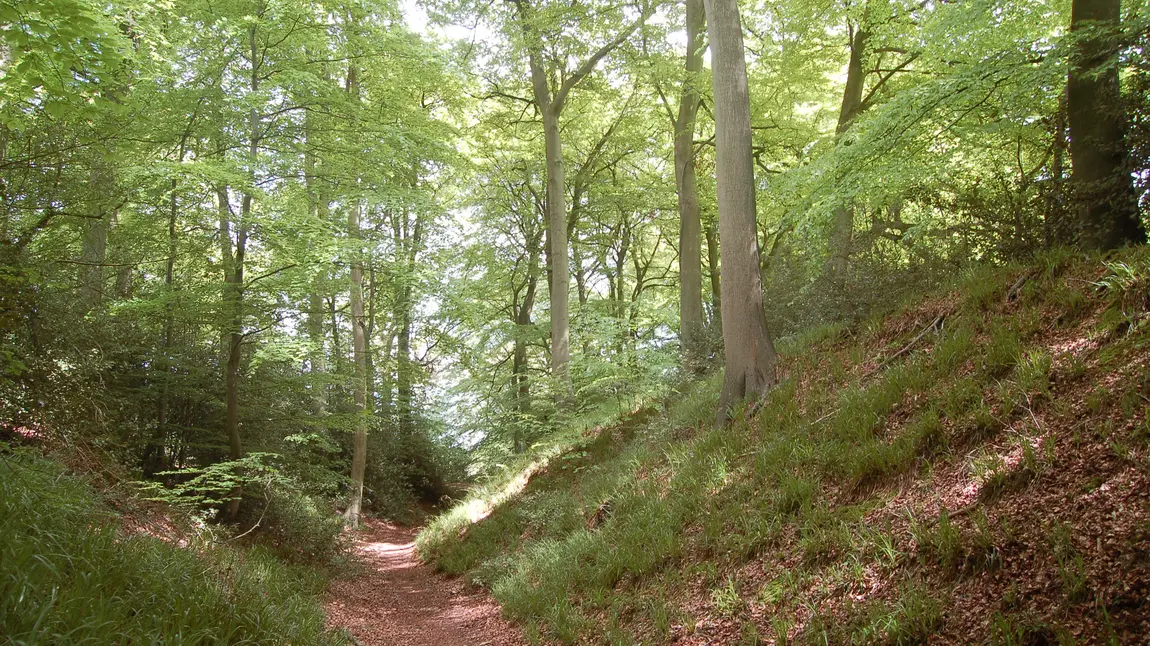 Cholesbury Camp hillfort in Buckinghamshire