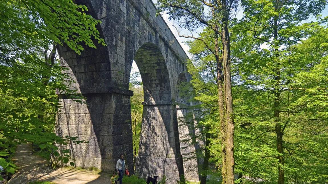 Treffry Viaduct