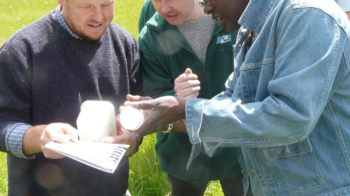 Participants in an entomology study