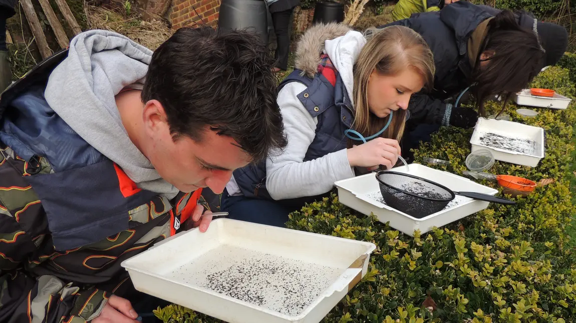 Young people studying insects 