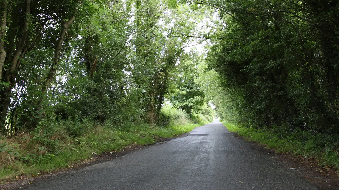 The evocative Lagans Road, from the poem 'Edward Thomas on the Lagans Road'