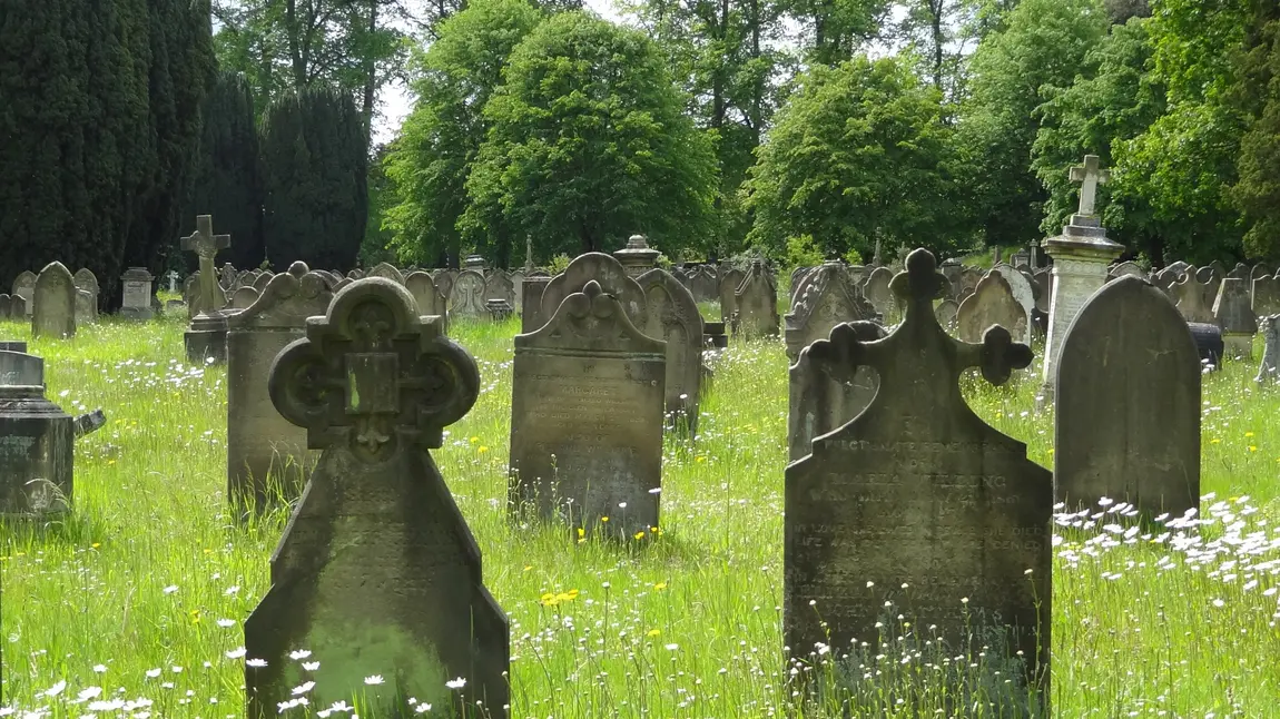 Flowery grassland at Longden Road Cemetery, Shrewsbury, Caring for God's Acre Flowery grassland at Longden Road Cemetery, Shrewsbury, Caring for God's Acre
