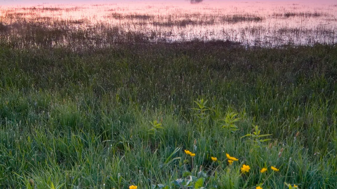 Lough Neagh at dusk