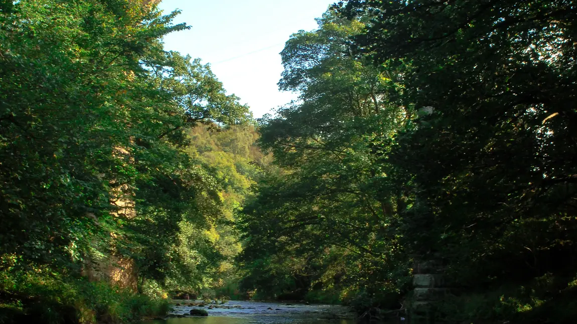 Land of Oak and Iron secures £2.2m National Lottery grant Derwent Valley's Nine Arches is one of the sites the project will focus on