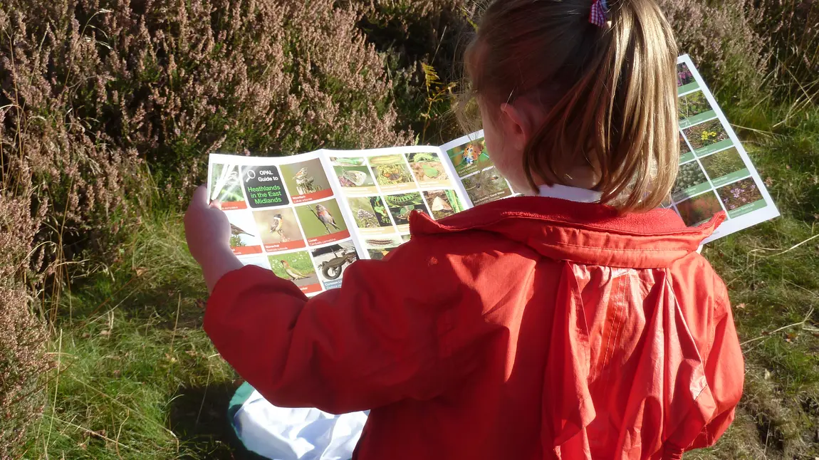 A young volunteer uses a photographic guide at Strawberry Heath Nature Reserve, Rainworth