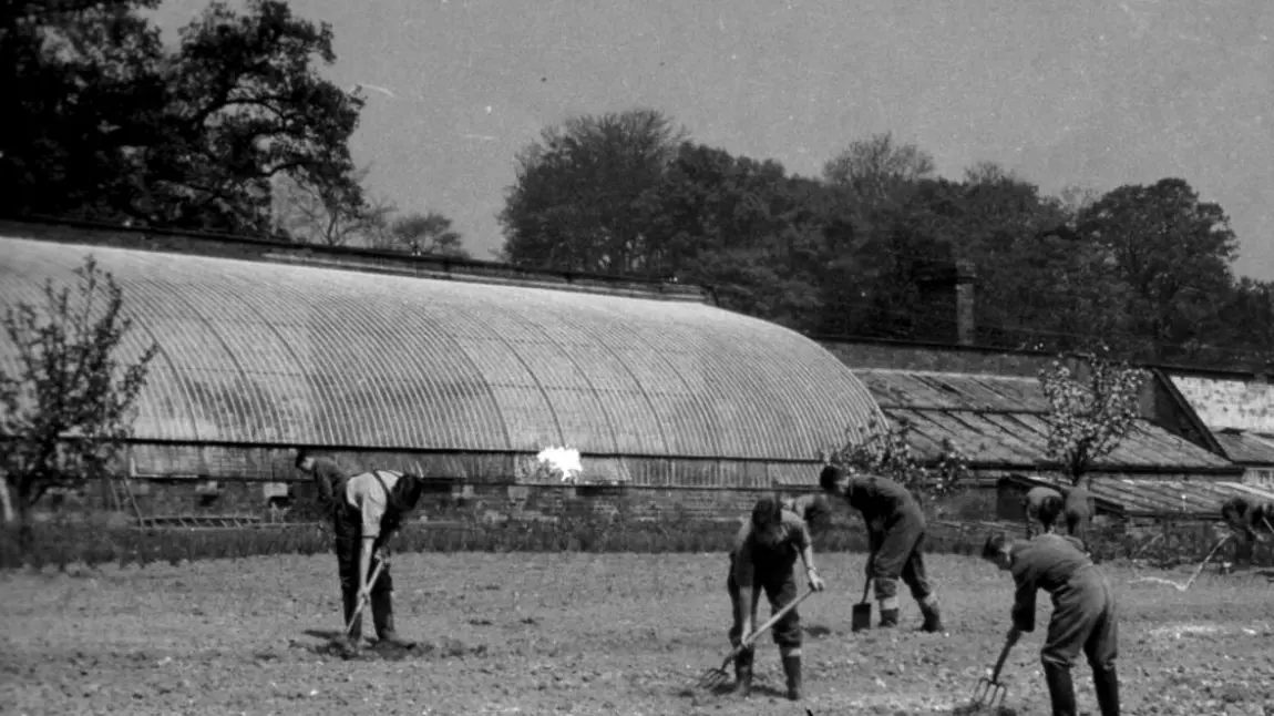 Curvilinear gasshouse in Millichope Park 