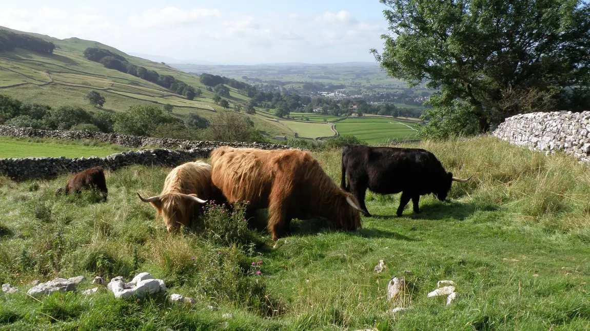 The Yorkshire Dales hide some incredible cave systems