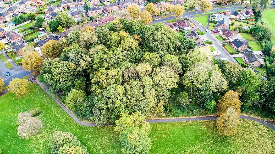 Hidden heritage of Manchester woodlands to be revealed The Brundit woodlands, Wythenshawe, Manchester