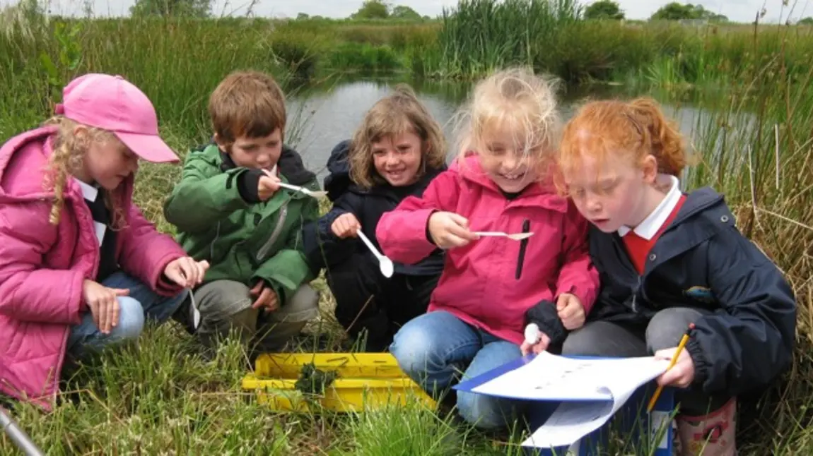 Children pond dipping