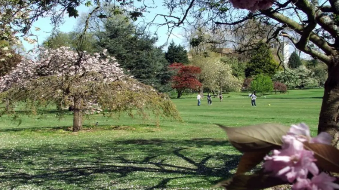 View of Bute park