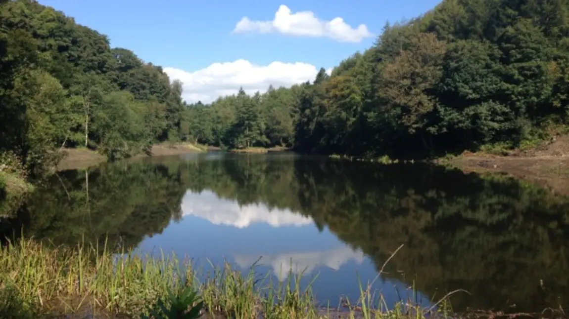 Upper lake at Penllergare Upper Lake at Penllergare