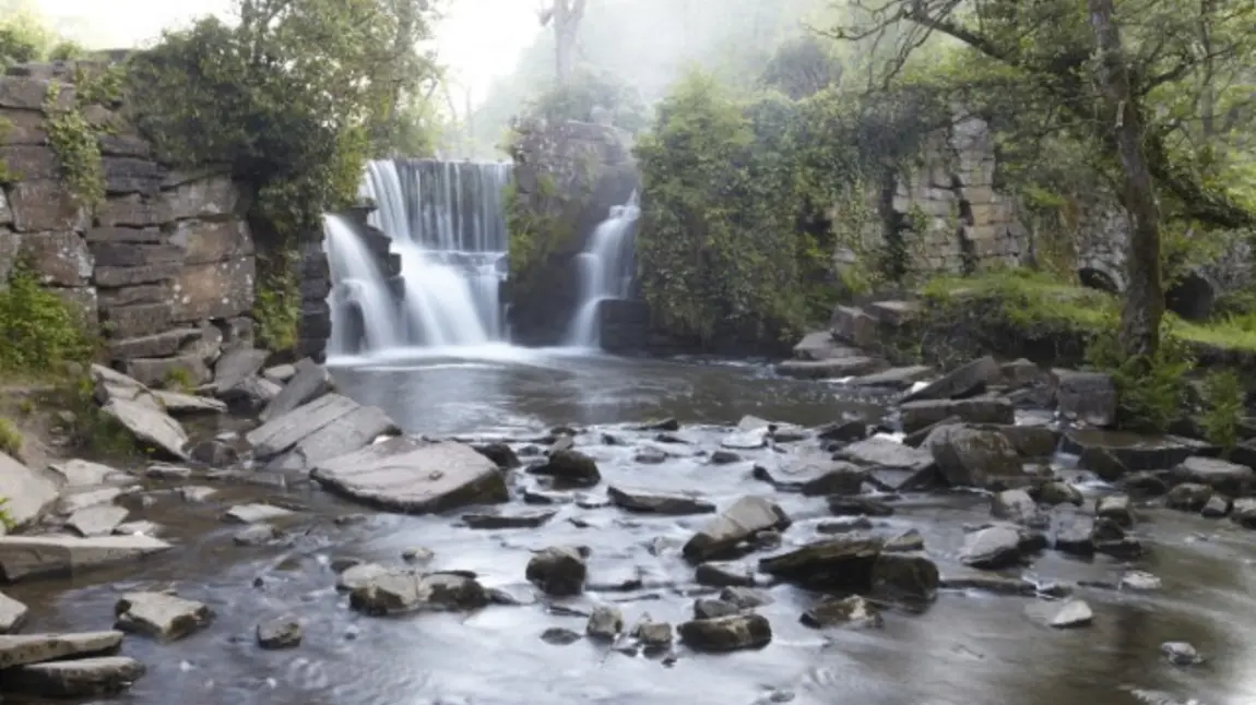 Rhaeadr yng Nghoedwig Dyffryn Penllergare 