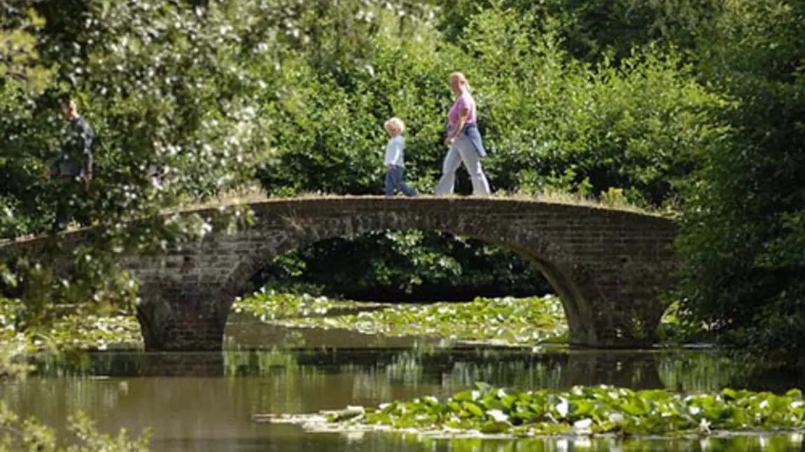 Visitors enjoying Staunton Country Park