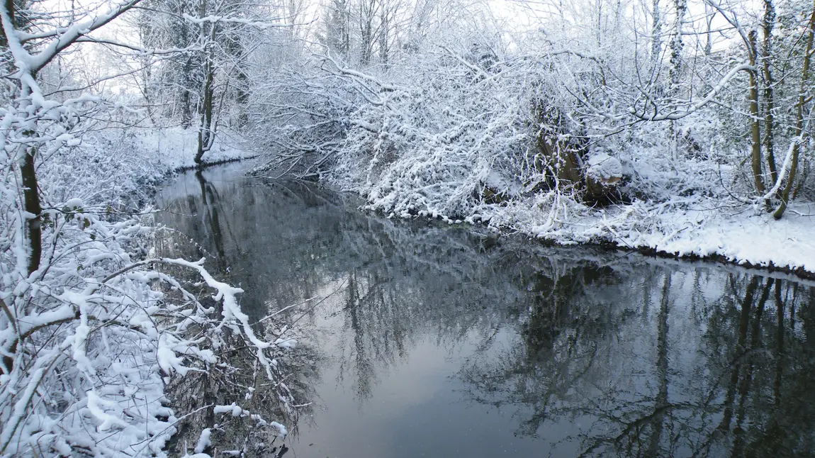 Hampshire's River Itchen