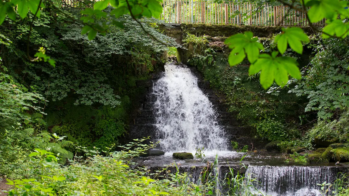 Rediscovered secondary waterfall on Glen Path at Rouken Glen Park, Giffnock, East Renfrewshire
