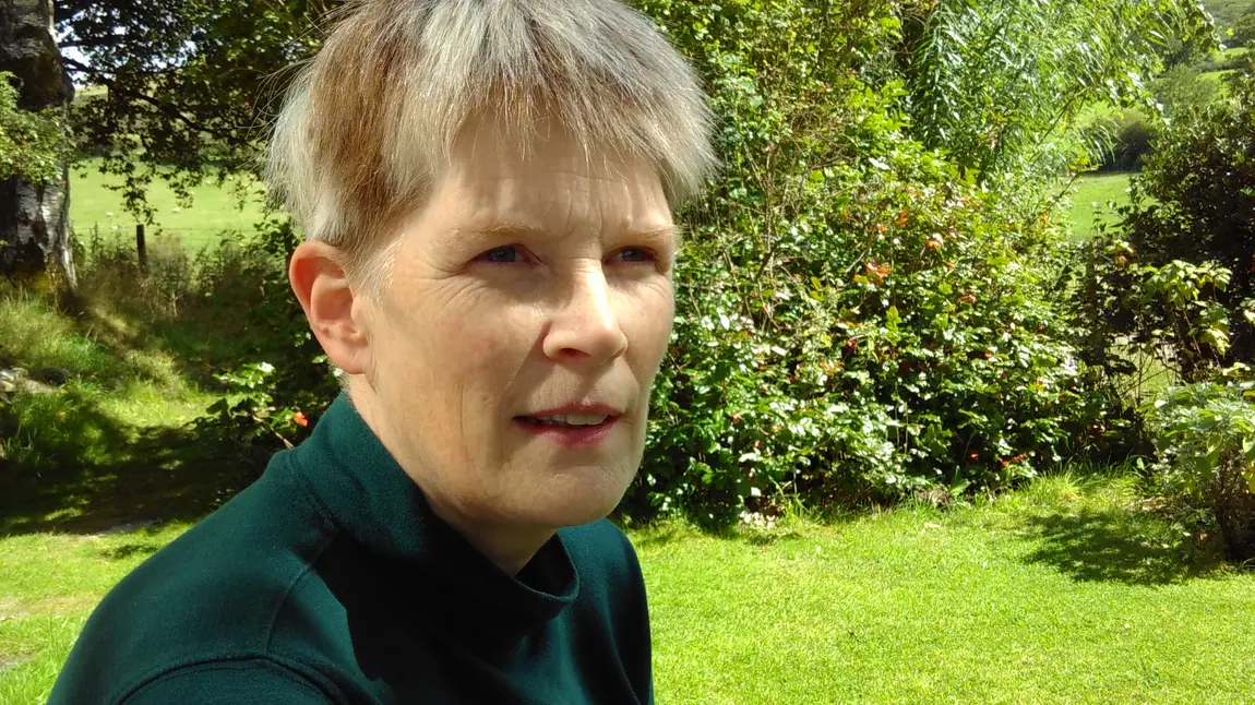 Reflections on the First World War Centenary Professor Sarah Lloyd of the University of Hertfordshire