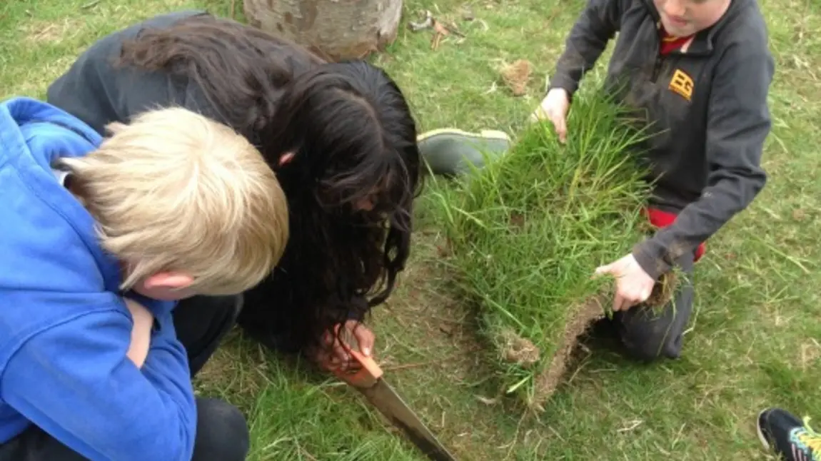 Participants in the project handle the turf