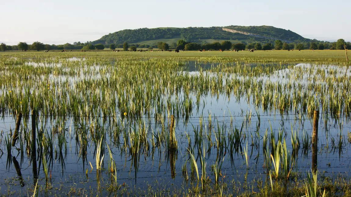 View to Knockninny, Lough Erne