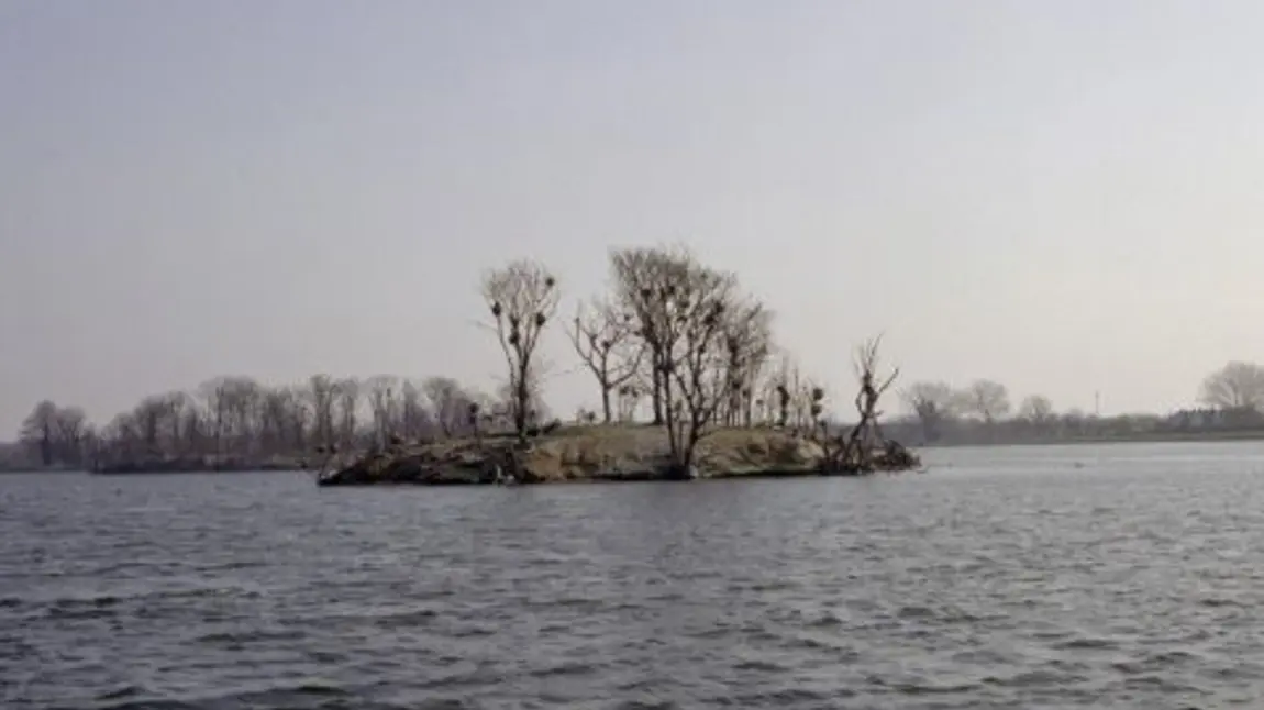 The Walthamstow Reservoirs site in North East London