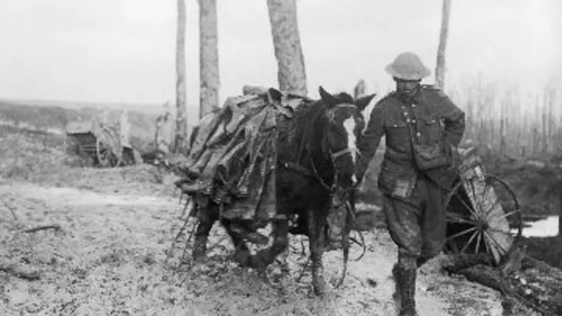 A pack horse loaded with rubber trench boots (waders) is led through the mud near Beaumont Hamel on the Somme battlefield