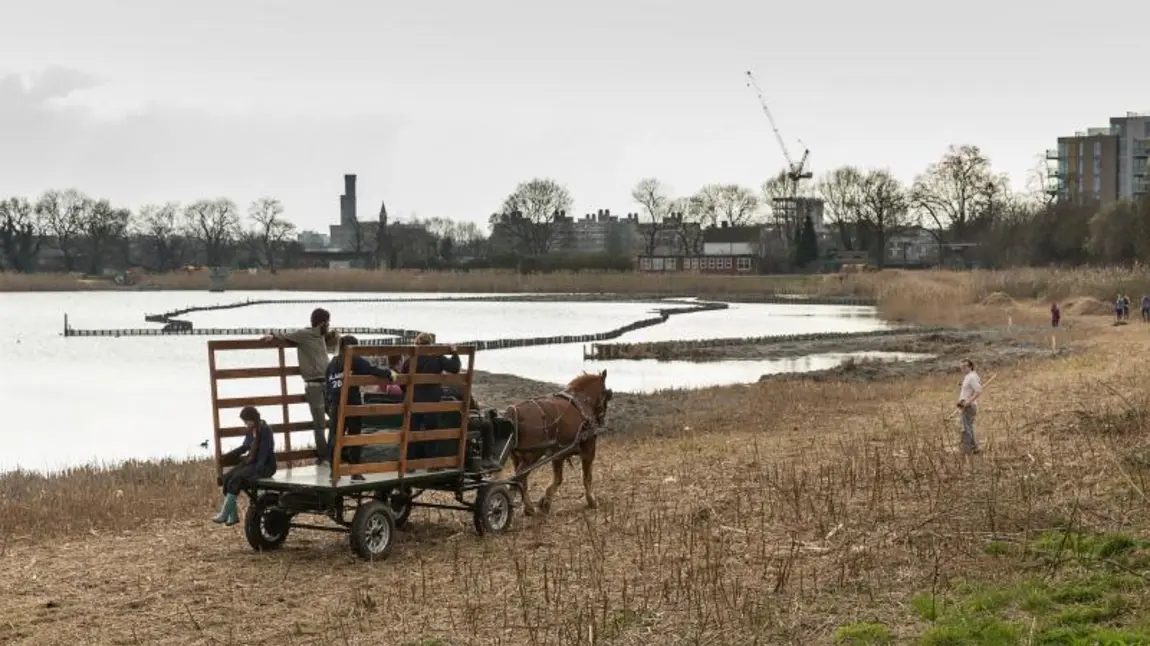 Woodberry Wetlands turns one! Horse and cart at Woodberry Wetlands