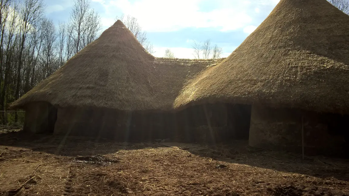 The conjoined roundhouse roofs of Bryn Eryr The conjoined roofs of an Iron Age roundhouse