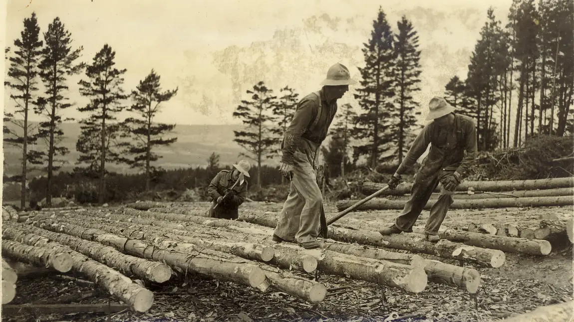 The Canadian forestry Corps in Highlands The Canadian forestry Corps in Highlands