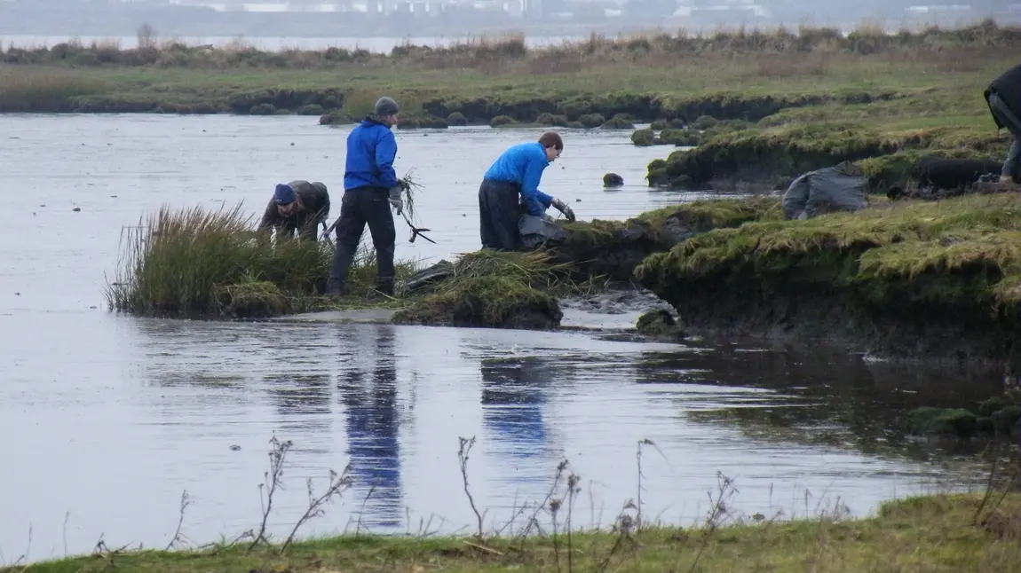 Conservation volunteers at Kinneil lagoons