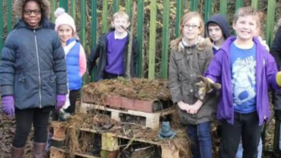 Children turn old wooden pallets into homes for hedgehogs to hibernate in