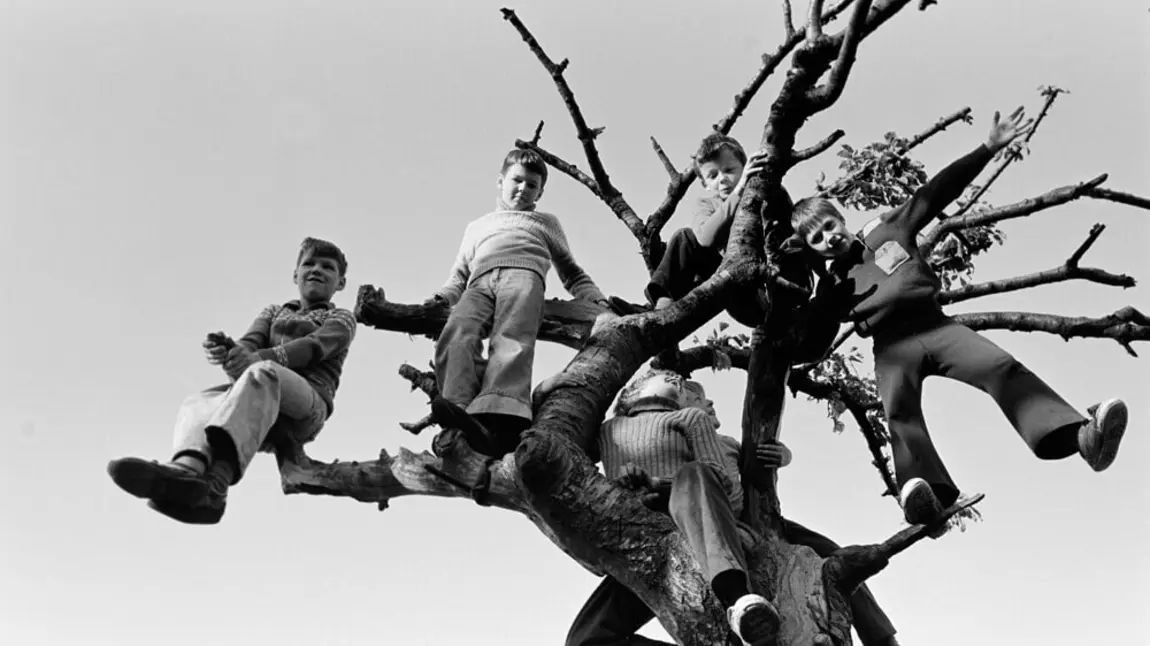 A black and white photo of children sitting in the branches of a tree