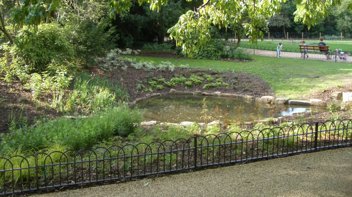 Pond and park bench in Peckham Rye Park