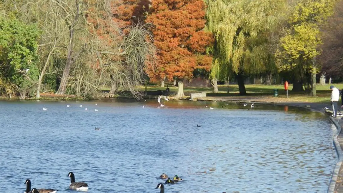 The lake in Raphael Park