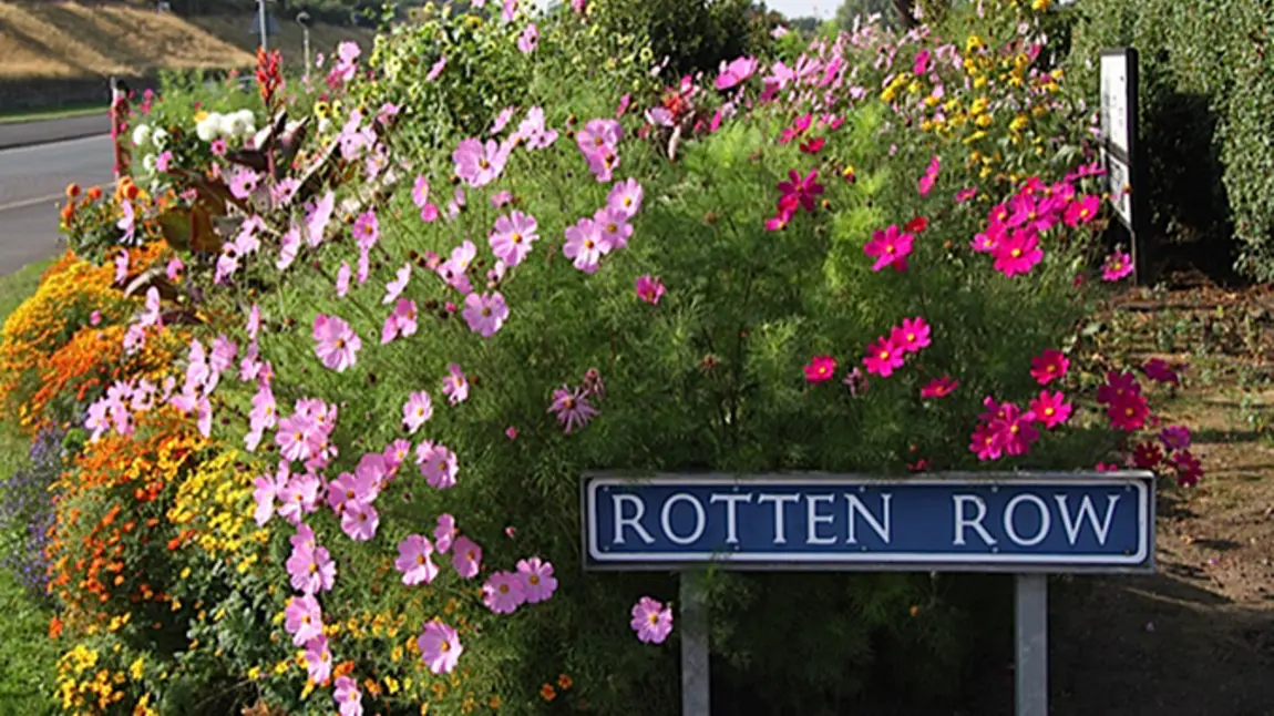 Rotten Row's flowers in bloom