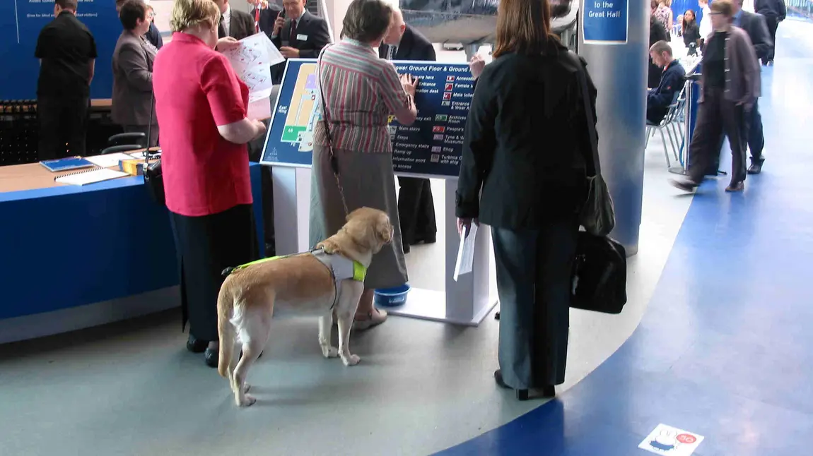 A visitor accompanied by a guide dog uses braille signage