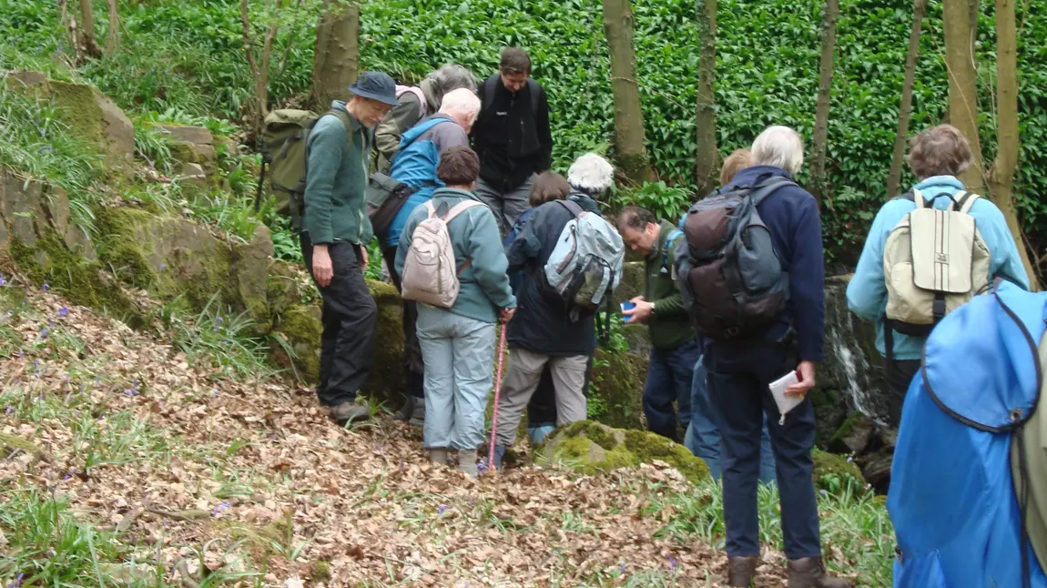 Participants exploring Bradford's lost ancient woodland