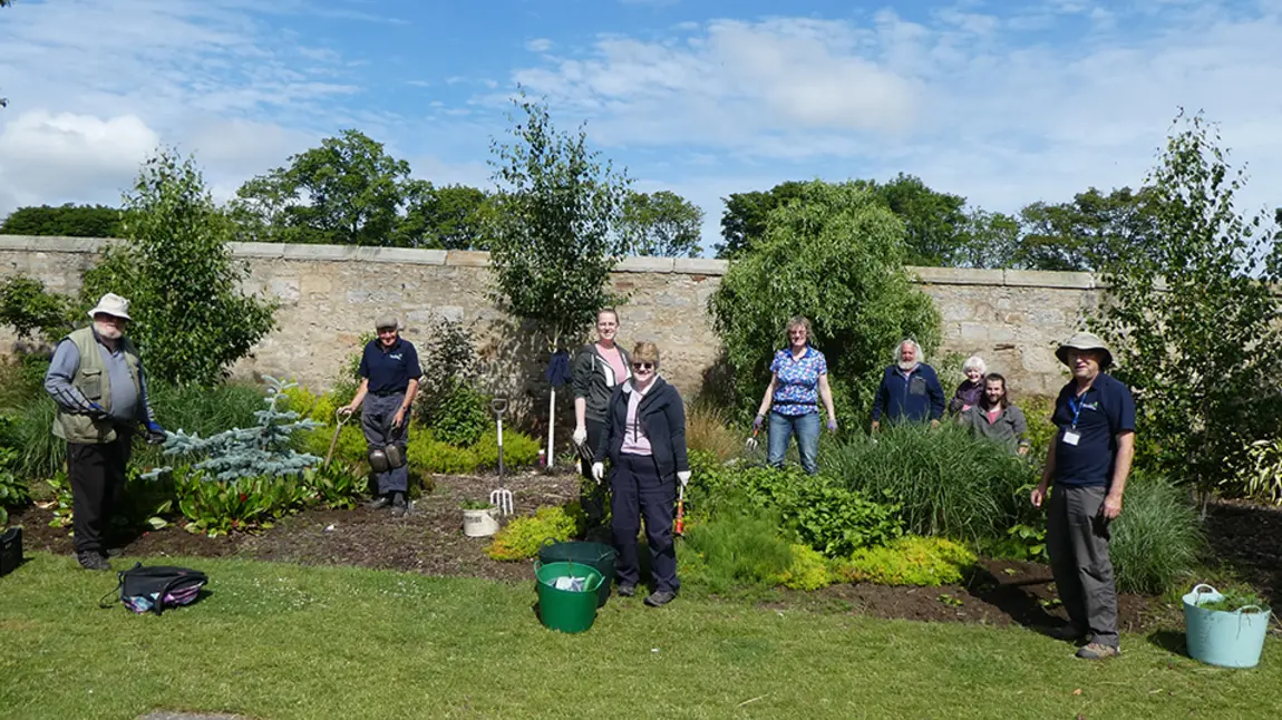 A group of gardening volunteers stand in a walled garden planting