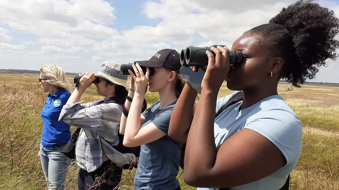 A group of four young people look through binoculars on a landscape.