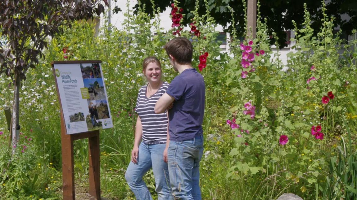Two people stand in a garden of flowers in front of an interpretation sign