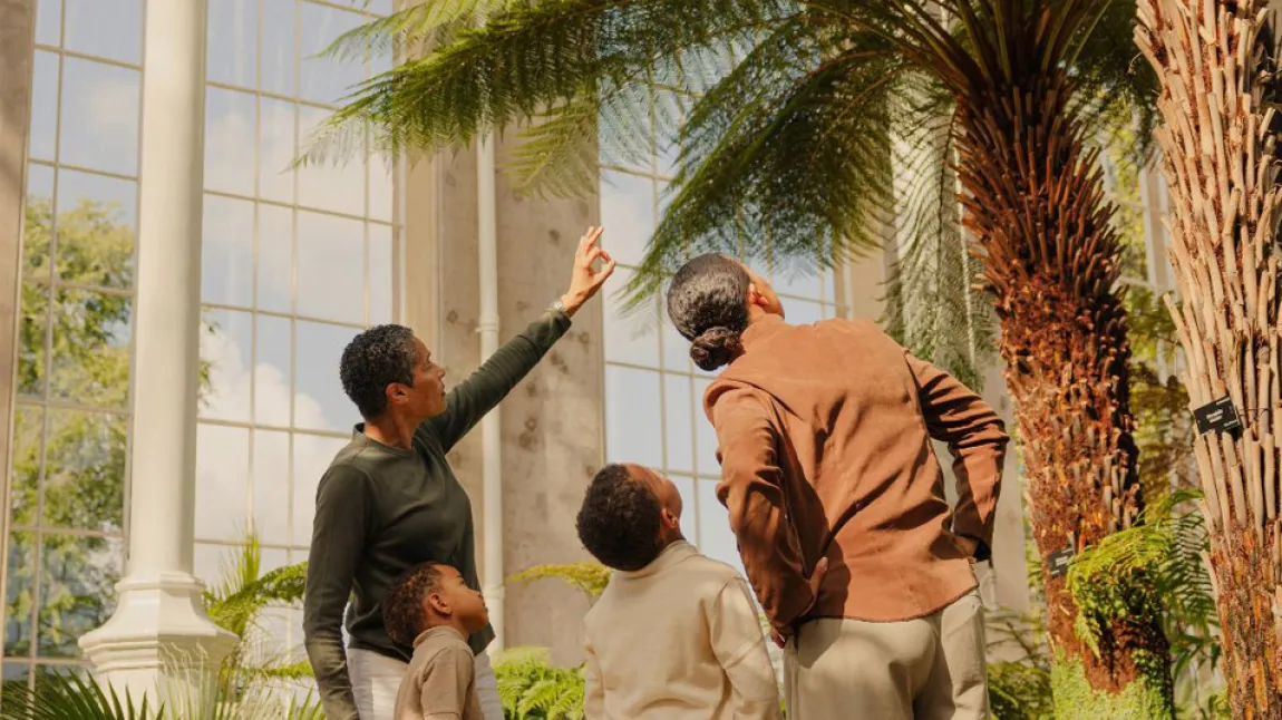 Visitors inside the Palm Houses look up at the plants
