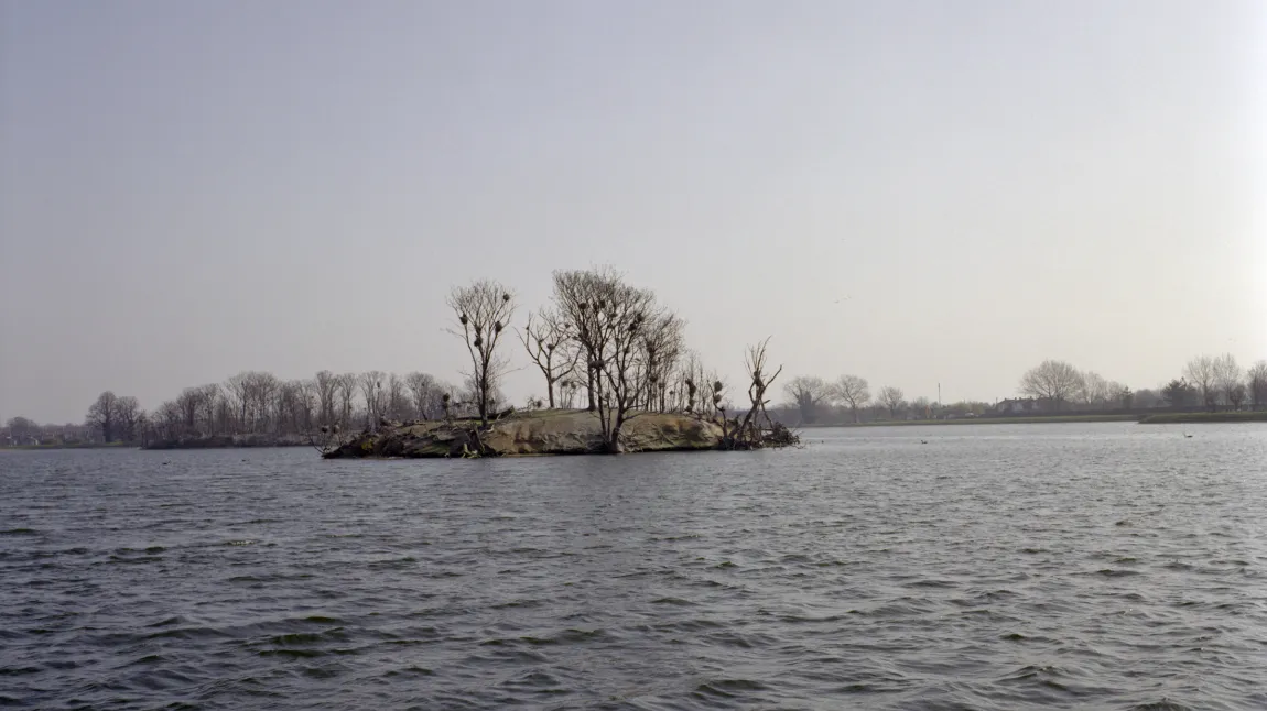 View of Walthamstow Reservoirs