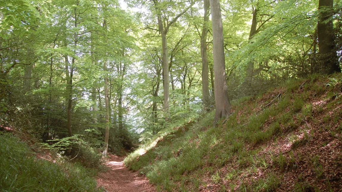 Cholesbury Camp hillfort in Buckinghamshire