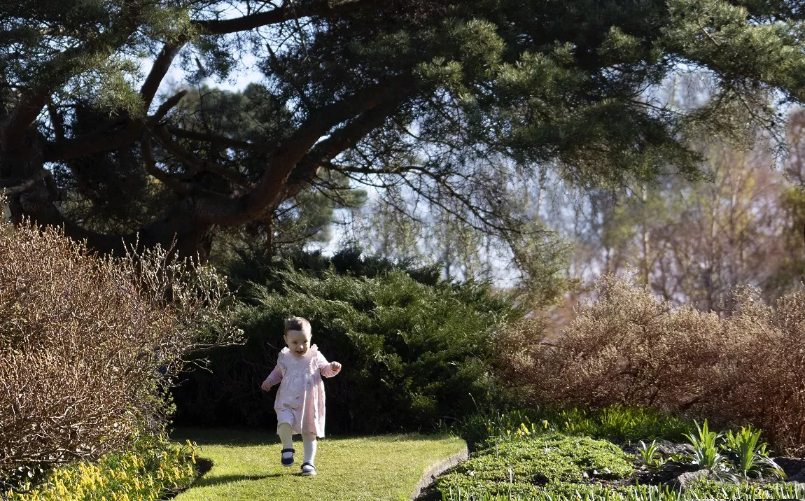 A small child walking through some gardens