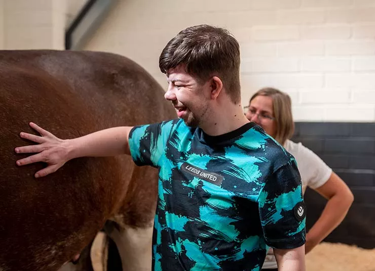 Boy with a horse