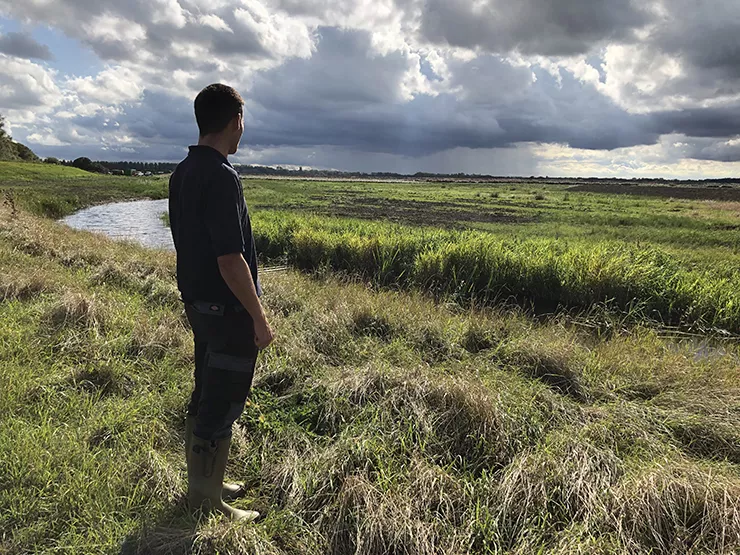 Carlton-Marshes.jpg Man looking out over Carlton Marshes