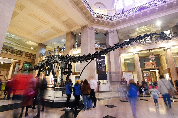 Dippy - National Museum Cardiff - National Lottery.jpg Crowds moving around Dippy