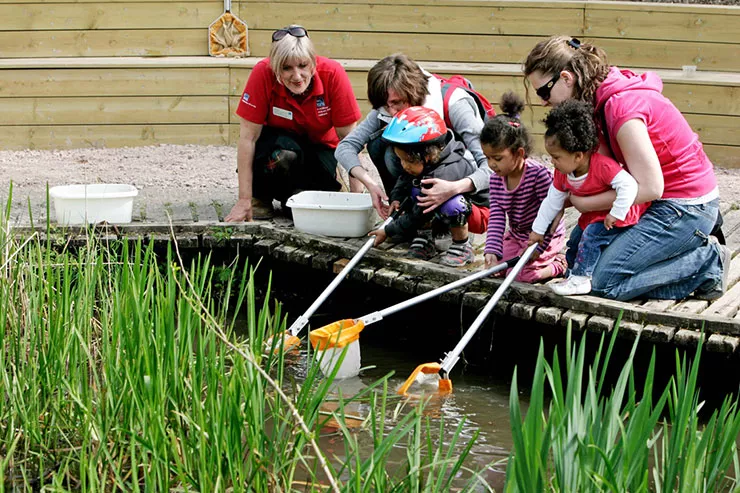 Discovering wildlife at Thatcham.jpg Discovering wildlife at Thatcham