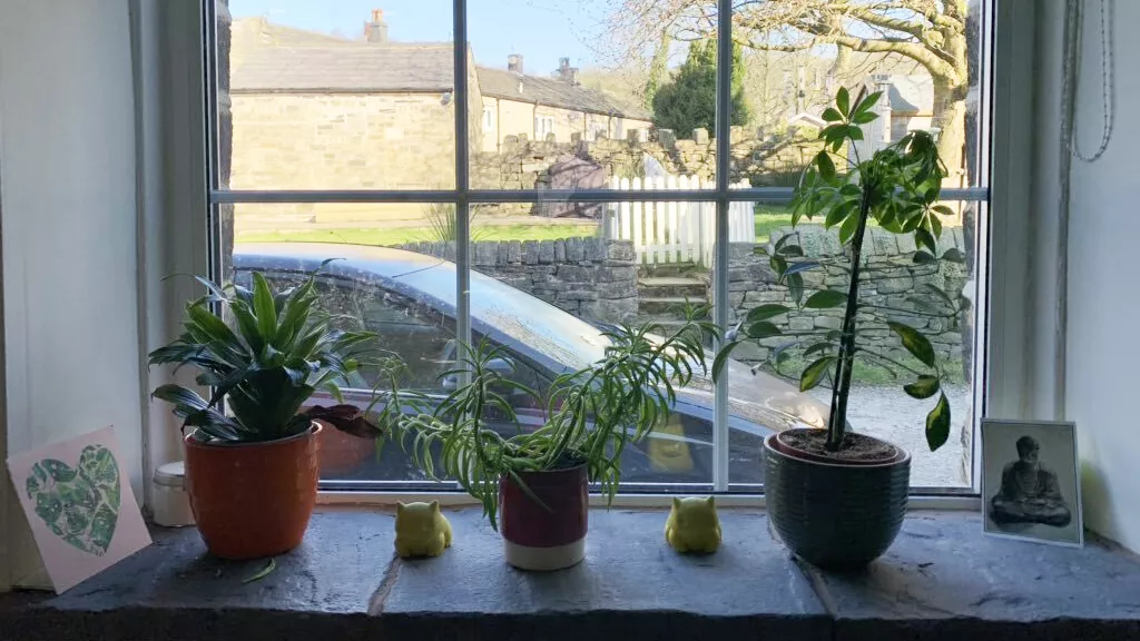 Plants - National Lottery Heritage Fund.jpg Plants on window ledge