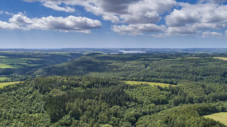 Tamar740.jpg Aerial view of the Tamar Valley with trees and fields reaching far ahead
